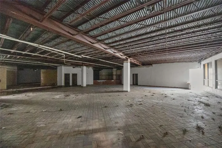 Commercial Free Plant