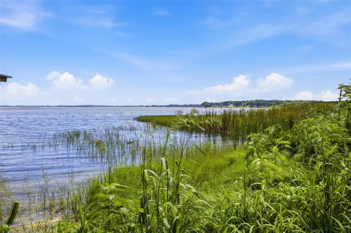 View of Lake Griffin