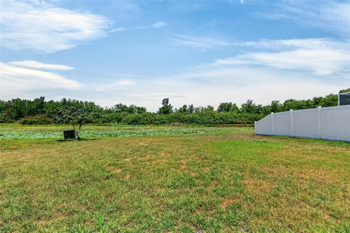 Backyard overlooking pond