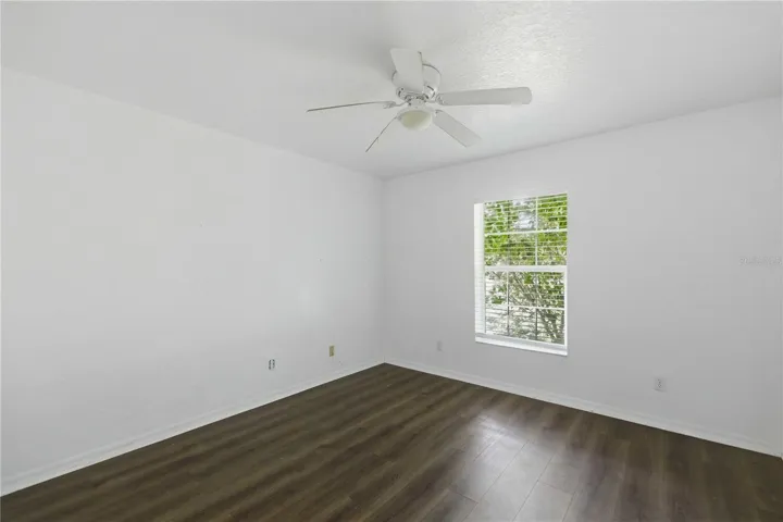 NO CARPET