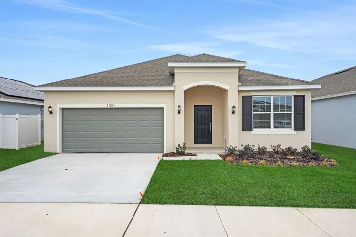 SAMPLE IMAGE POINCIANA