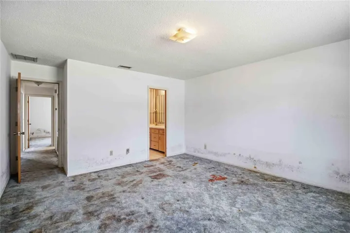 Master Primary Bedroom