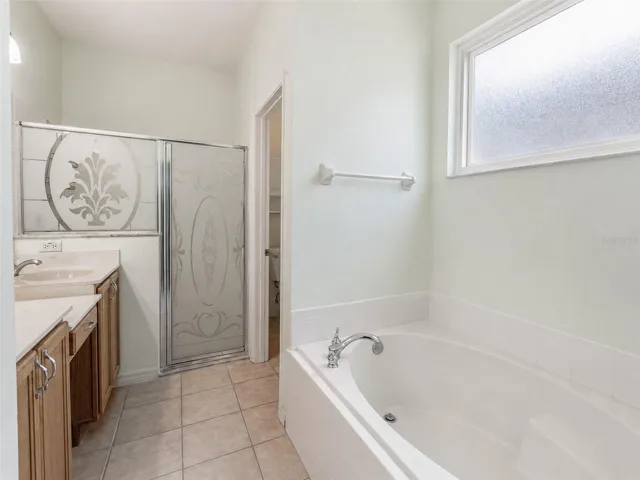 Master bathroom