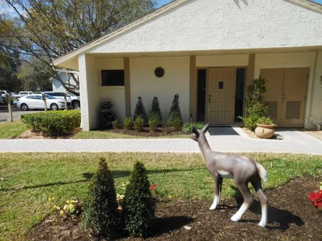 Some common areas and ameneties (HOA website photo)