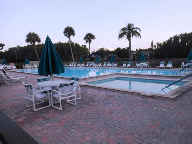 Some common areas and ameneties (HOA website photo)