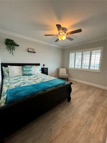 Guest bedroom Queen size bed