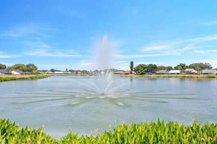 Community lake & fountain