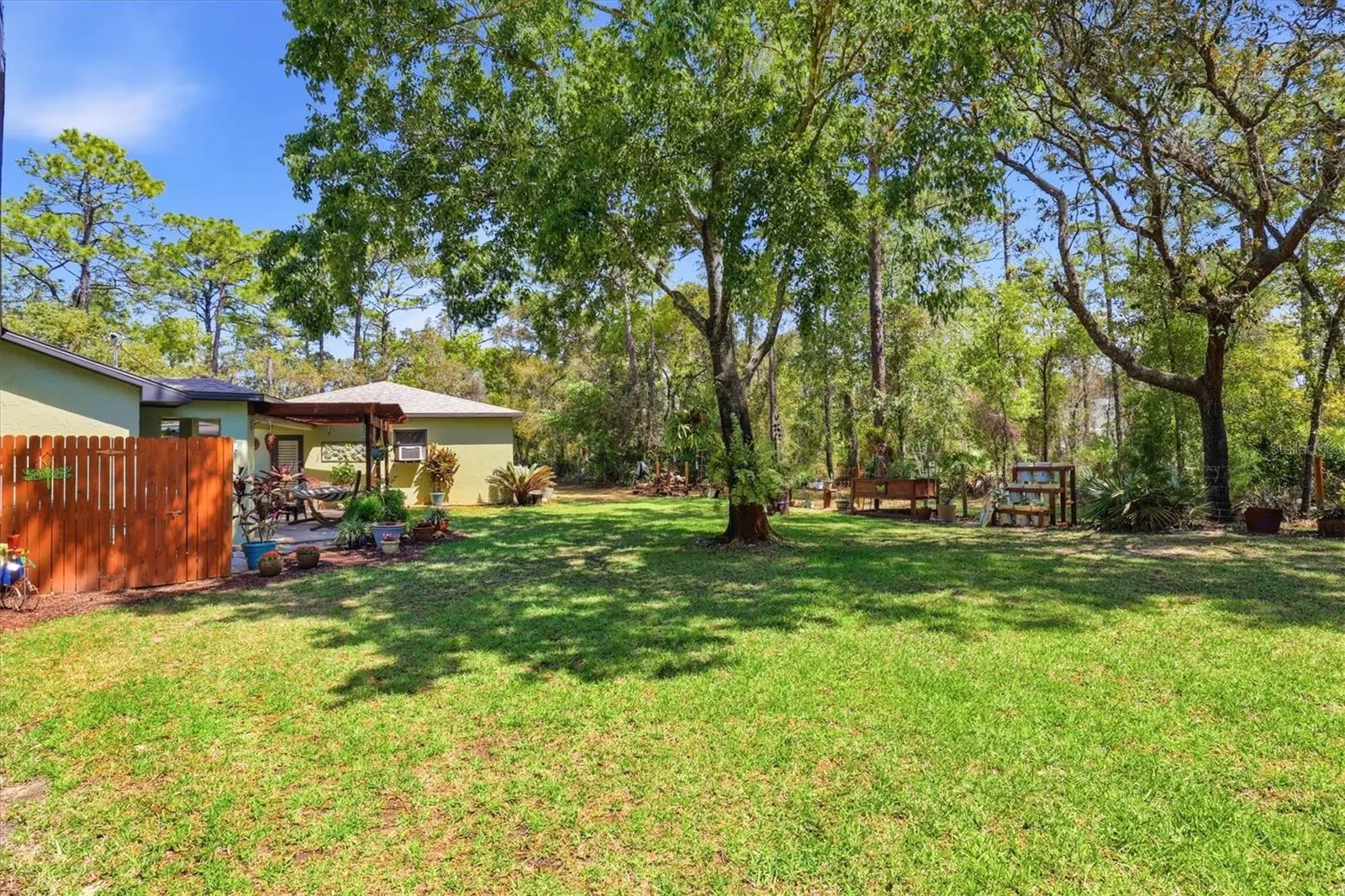 Park-Like Backyard