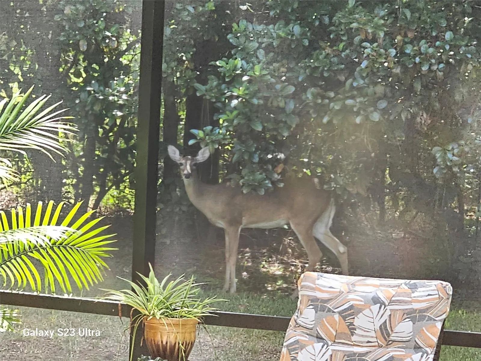 Frequent Visitors
