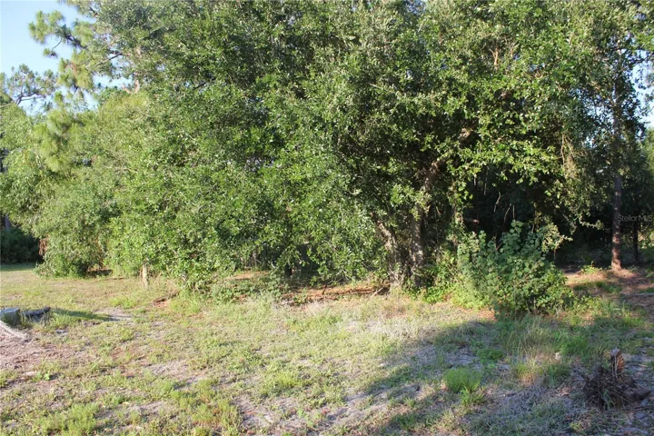 back of land