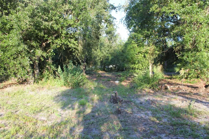 back of land