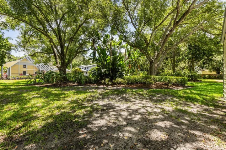 Backyard Shaded Area by Oak Trees