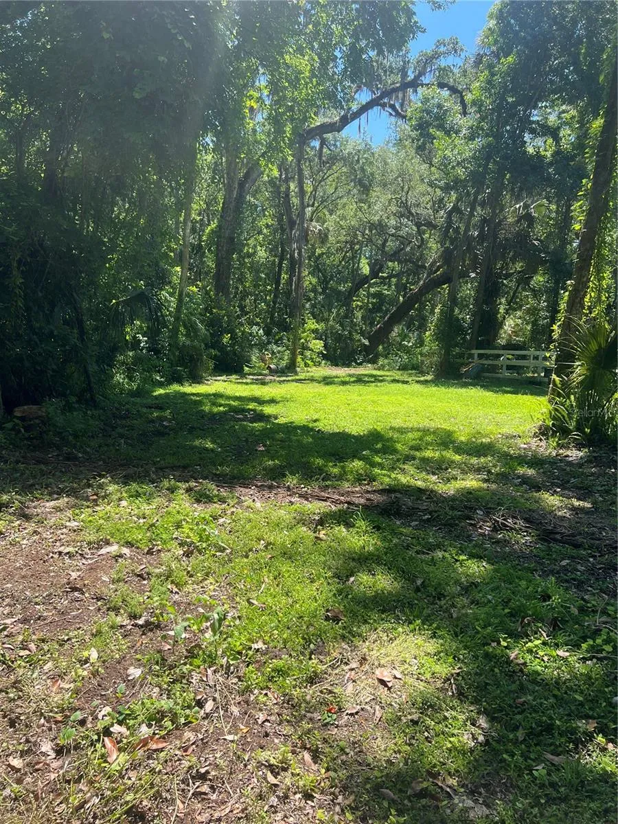 Meadow view from the house