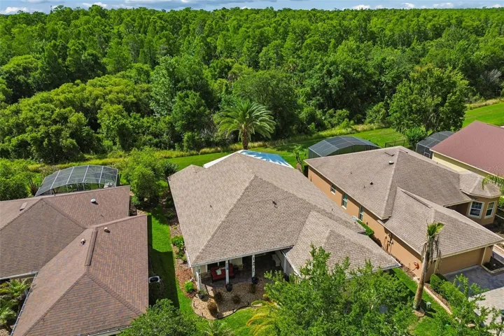 Expansive Conservation View