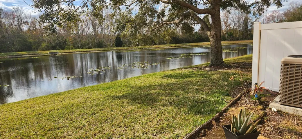 Back yard pond