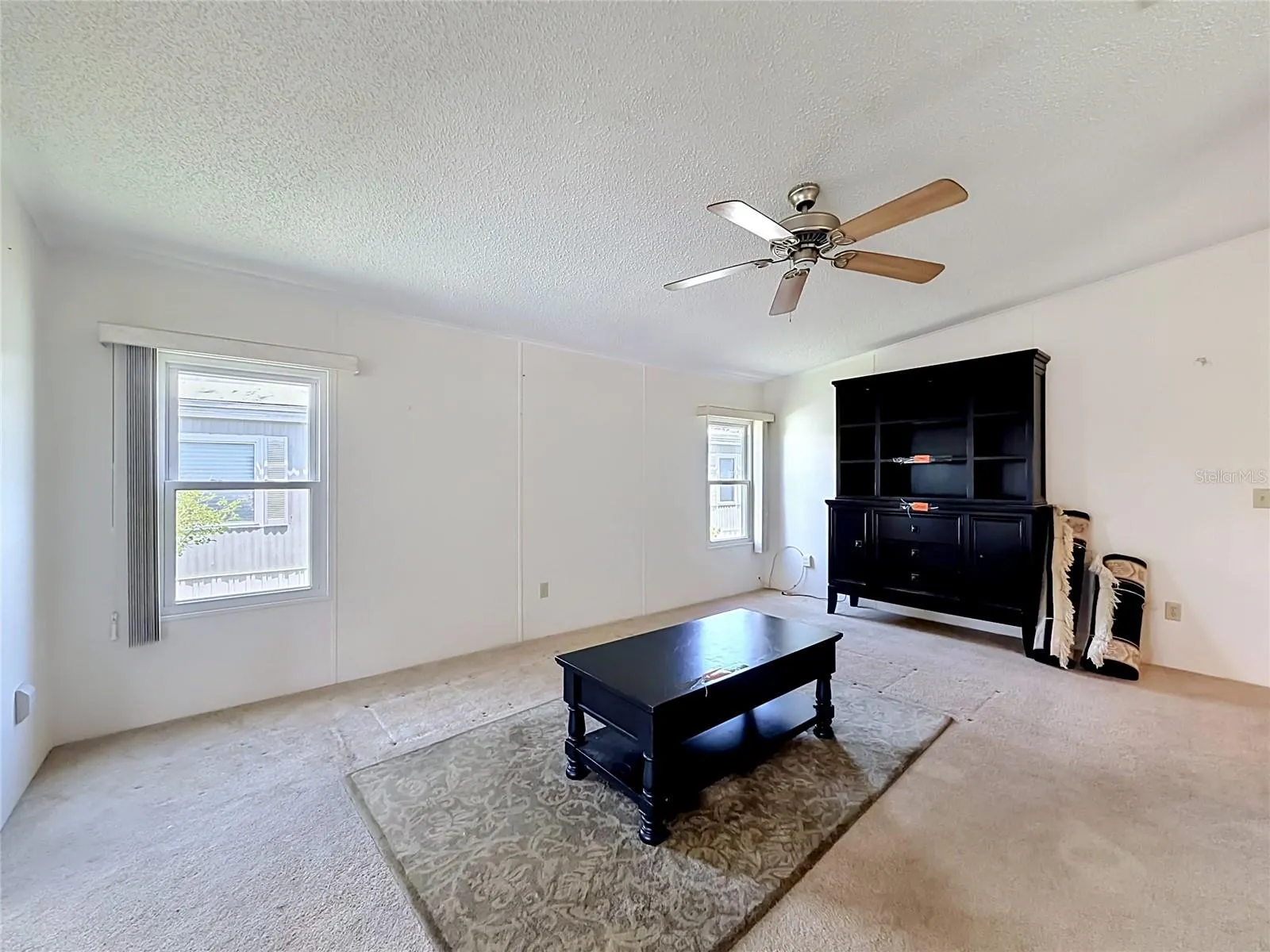 Large Living Room