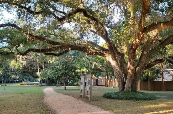 Washington Oaks State Park