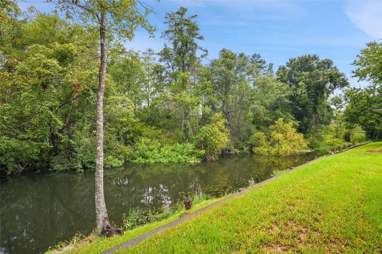BACKYARD ON CONSERVATION