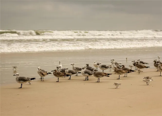 1170