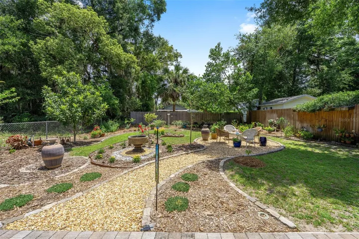 Backyard Oasis