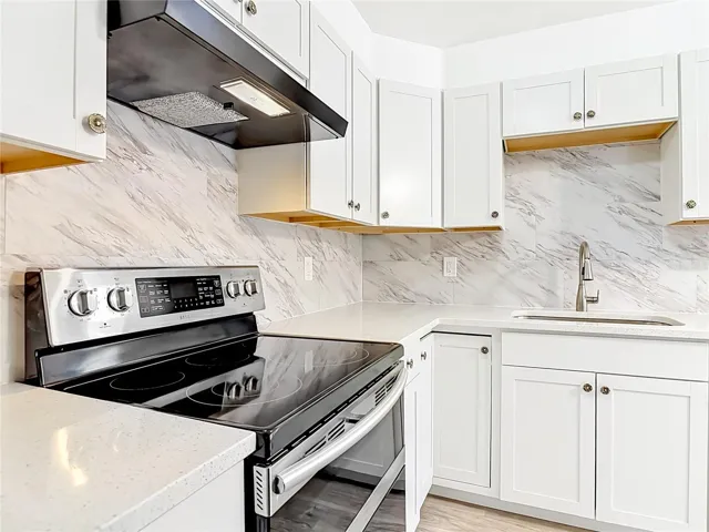 the hood over the electric range