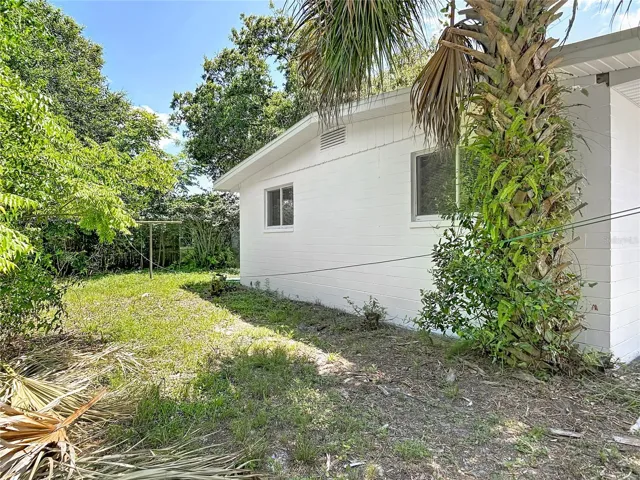 the other side yard