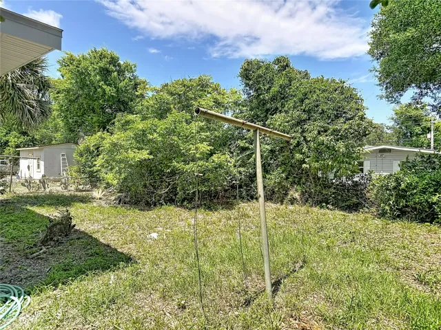 the back yard