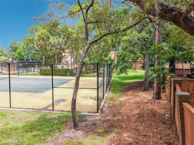 Tennis Court and Pool just behind backyard.