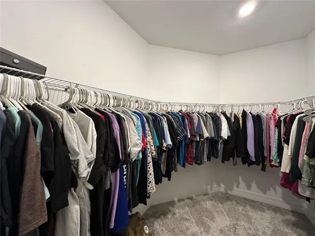Master Closet
