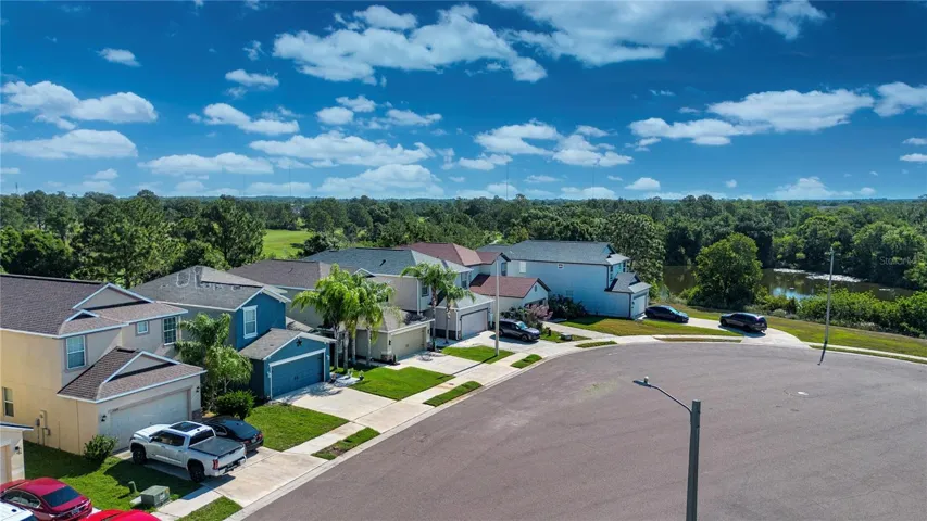 Drone Image Of Conservation Neighborhood