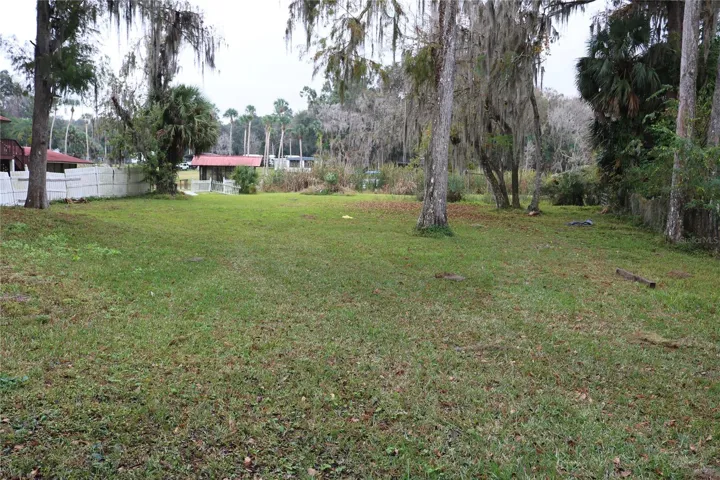 Back yard