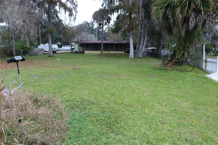 Back yard