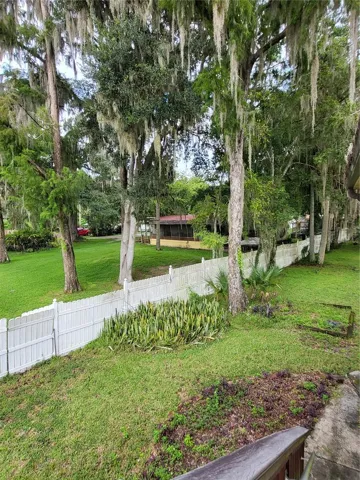 Back from neighboring yard