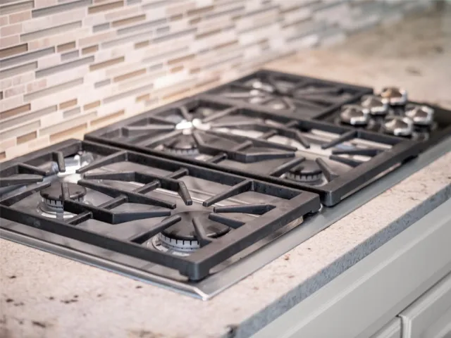 Propane Gas Stove