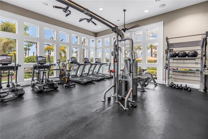 Exercise Gym