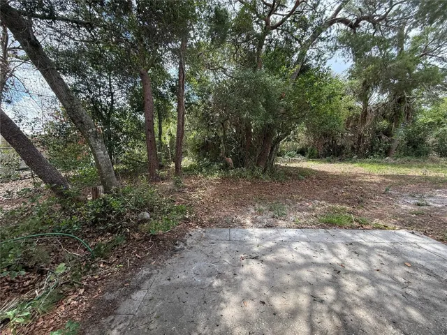 Backyard