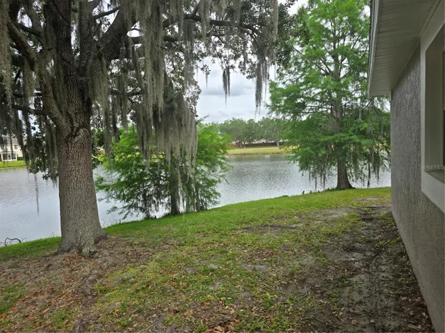 rear patio view