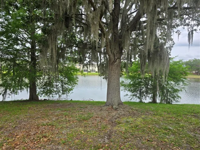 pond views