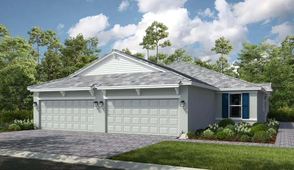Ibis Rendering