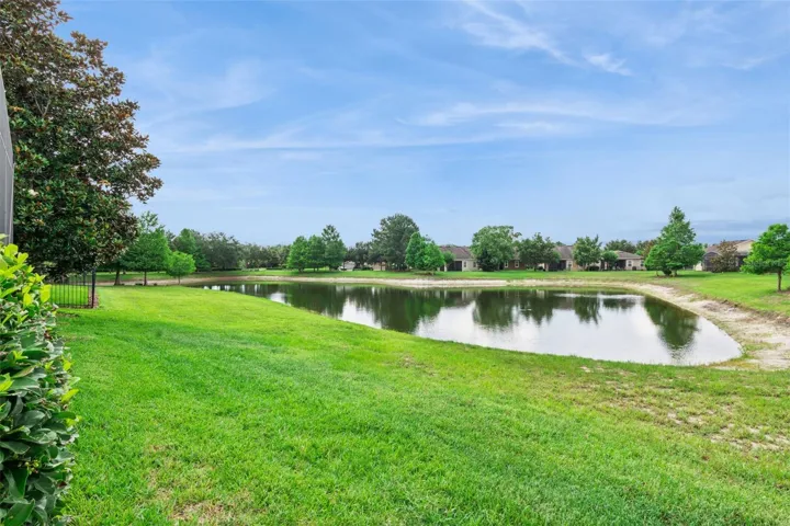 Pond