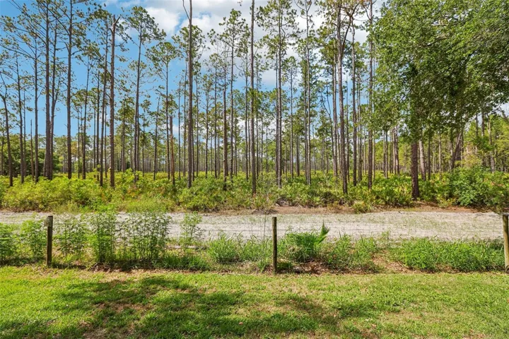 Youe next-door neighbor - Flatwoods Preserve!