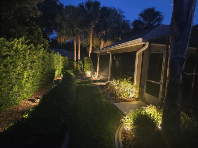 backyard at night