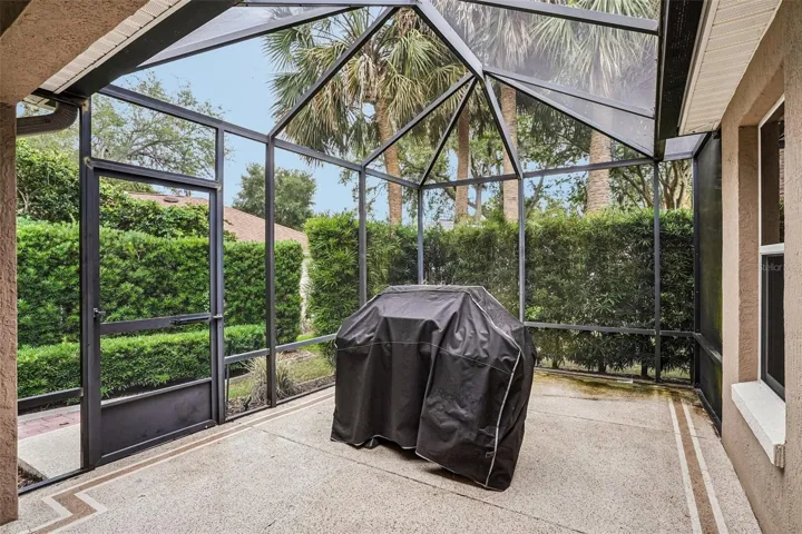 First birdcage