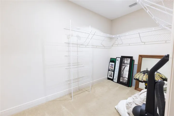 Walk-in closet in In-law suite
