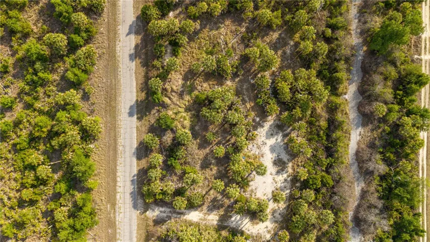 Whether you envision a CONTEMPORARY RESIDENCE with expansive windows & modern architecture or a PRIVATE TROPICAL ESCAPE surrounded by lush landscaping, this property offers both PRACTICAL & AESTHETIC ADVANTAGES for your future build.