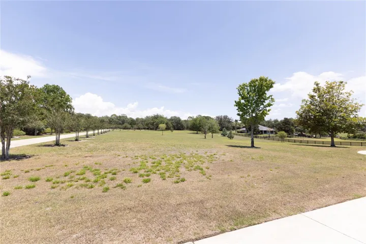 Front yard of home