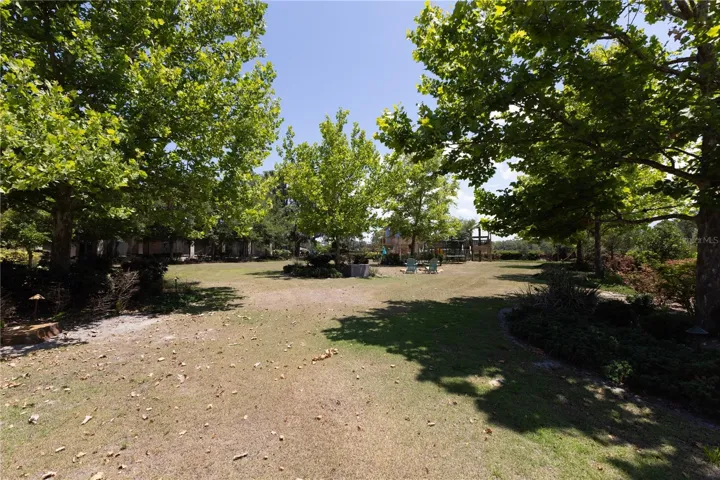 Back yard of home