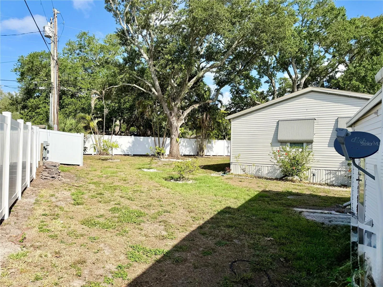 Back yard