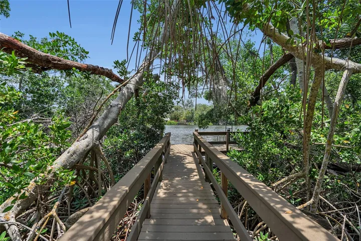 DOCK TO THE LAGOON