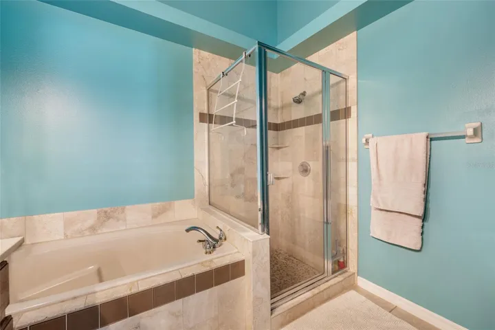 Master bath tub ans shower